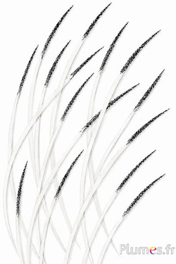 Oie strippé paillettes noires - 16-18 cm - blanc